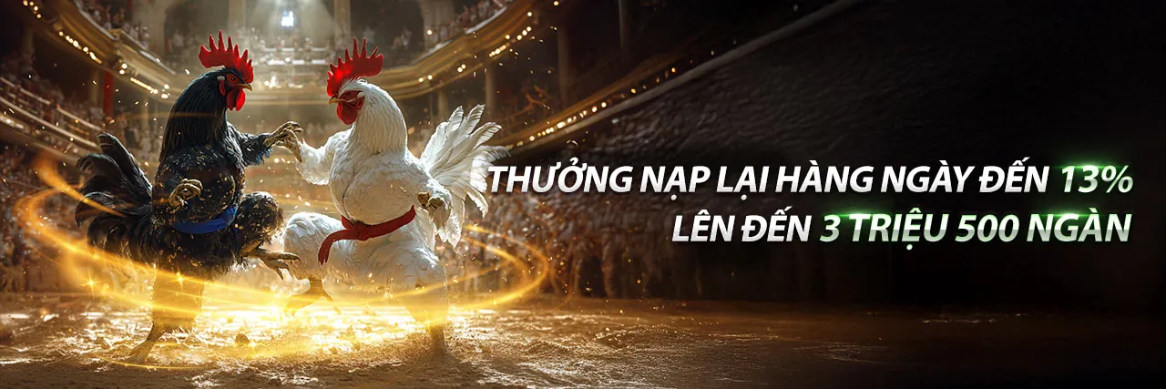 Chiến thuật cá cược đá gà 6fff